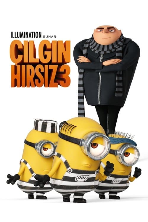 Çılgın Hırsız 3 posteri