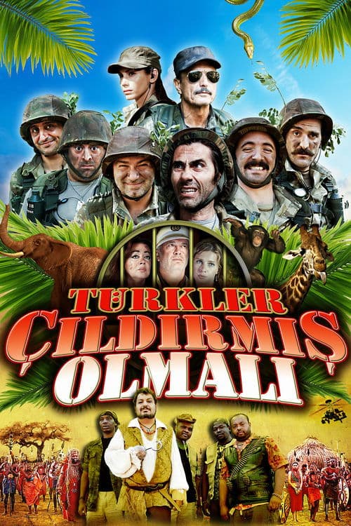 Türkler Çıldırmış Olmalı posteri