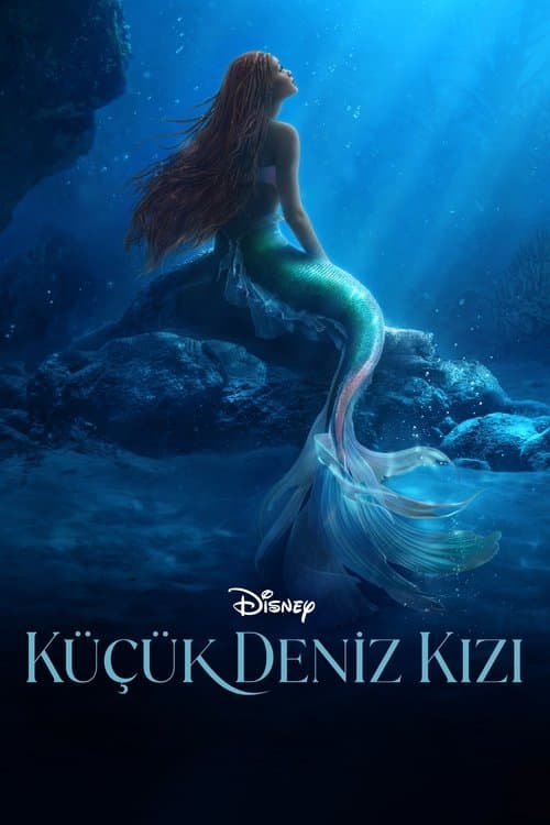 Küçük Deniz Kızı posteri