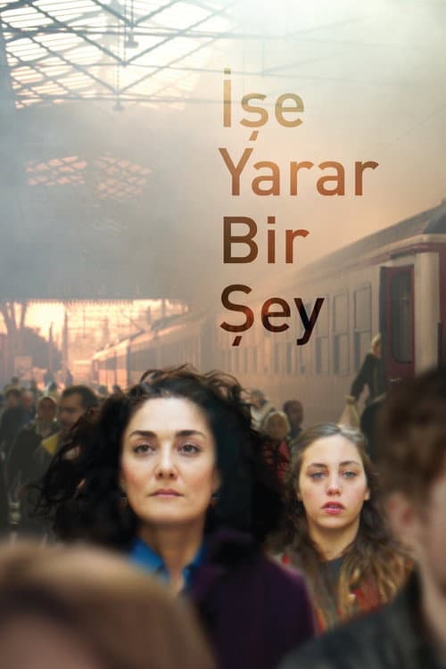 İşe Yarar Bir Şey posteri