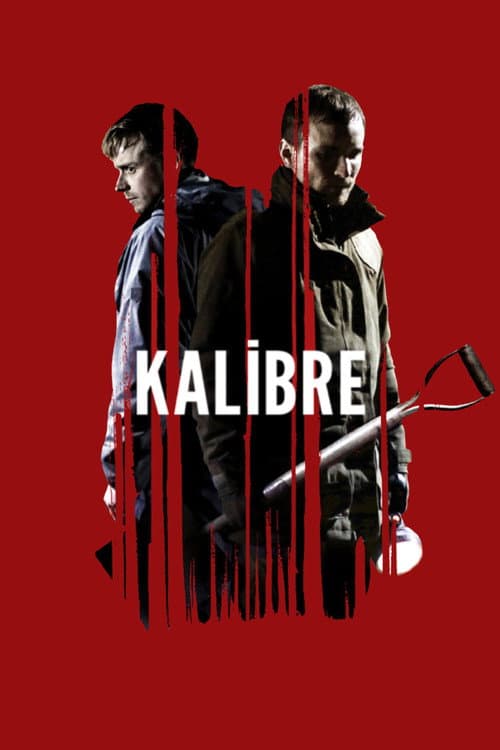 Kalibre posteri