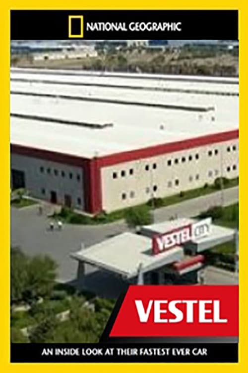 Mega Fabrikalar: Vestel posteri