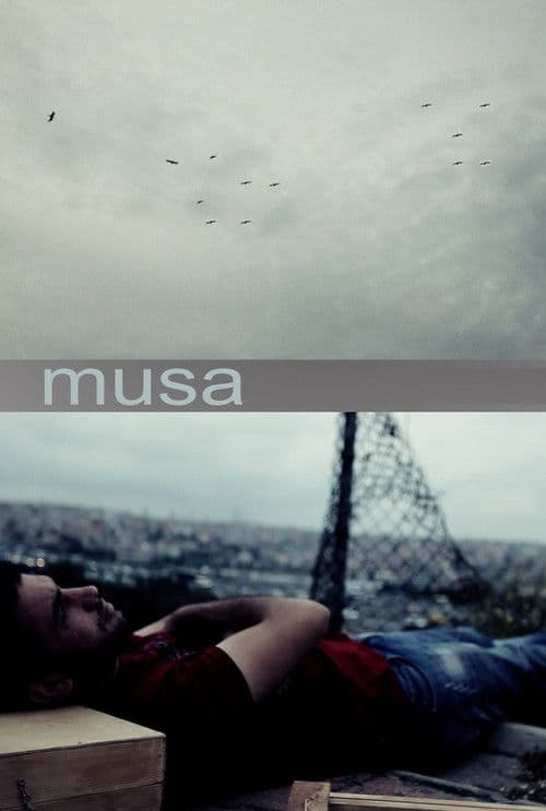 Musa posteri