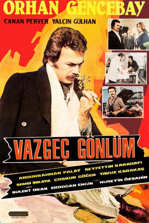 Vazgeç Gönlüm posteri
