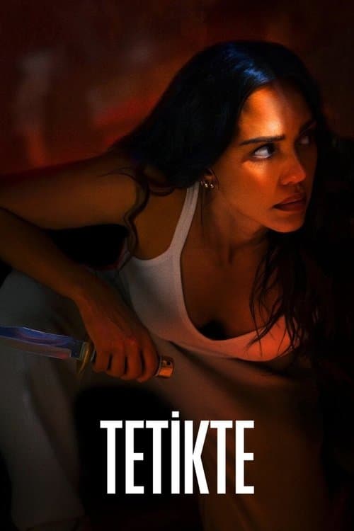 Tetikte posteri