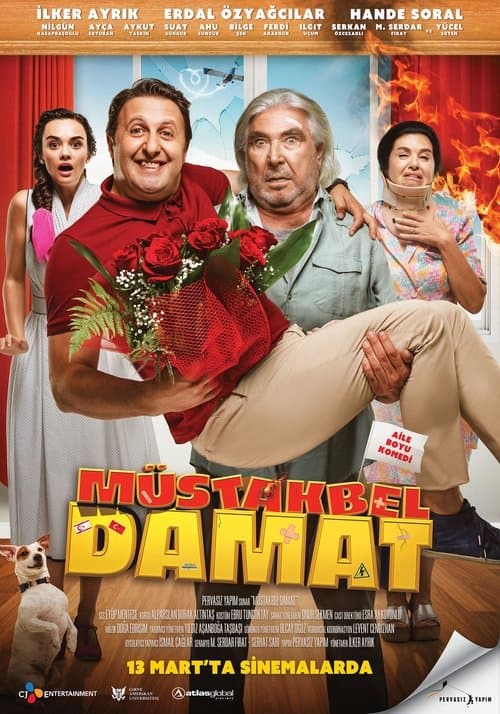 Müstakbel Damat posteri