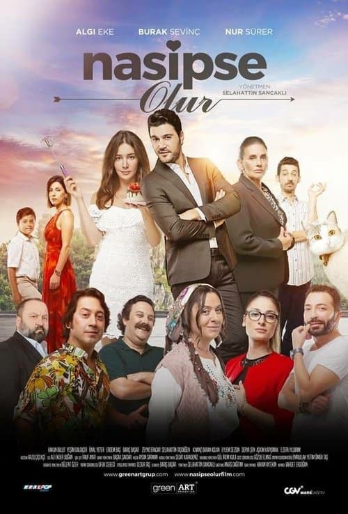 Nasipse Olur posteri