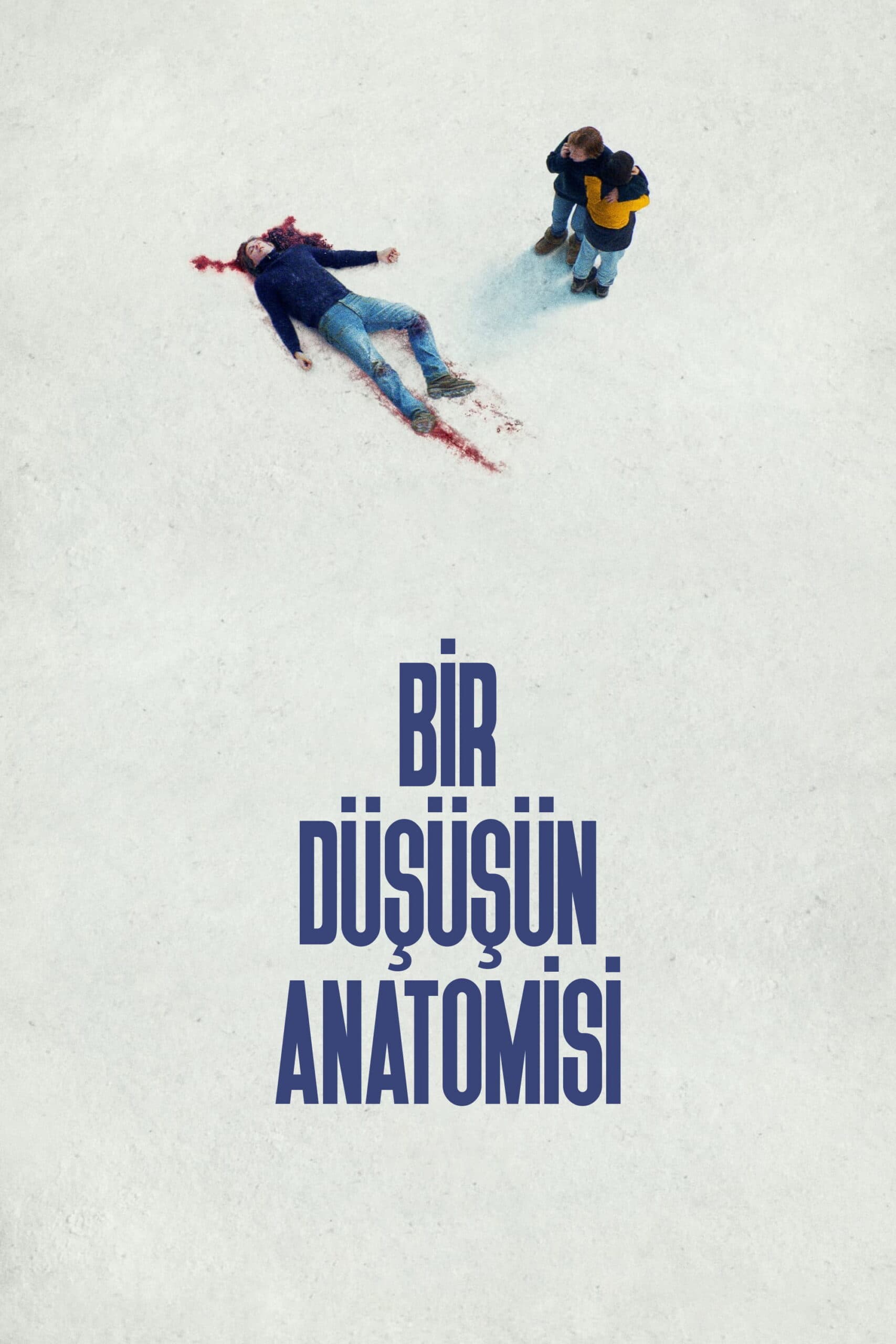 Bir Düşüşün Anatomisi posteri