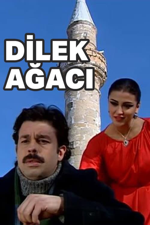 Dilek Ağacı posteri