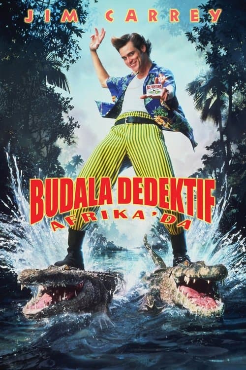 Budala Dedektif Afrika'da posteri