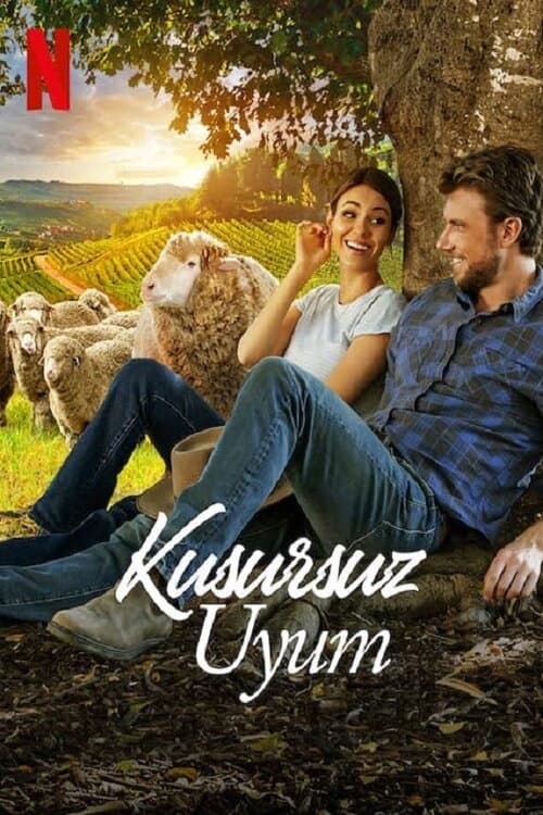 Kusursuz Uyum posteri