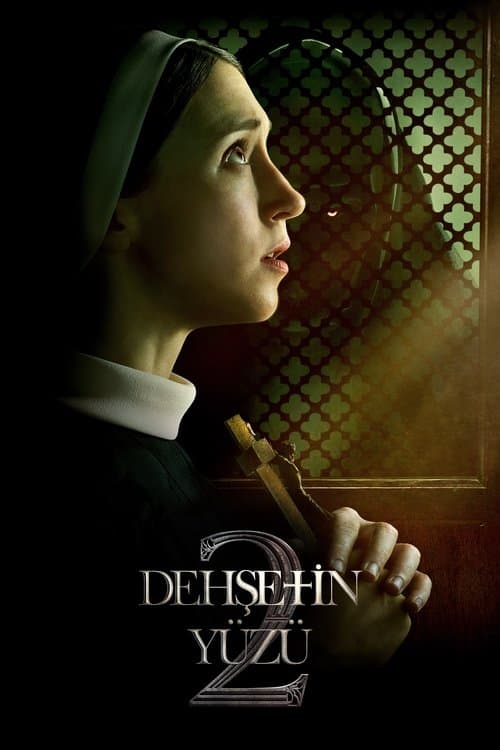 Dehşetin Yüzü 2 posteri