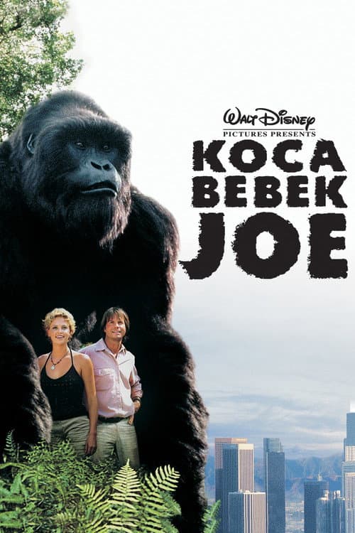 Koca Bebek Joe posteri