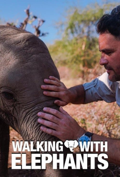 Walking with Elephants posteri