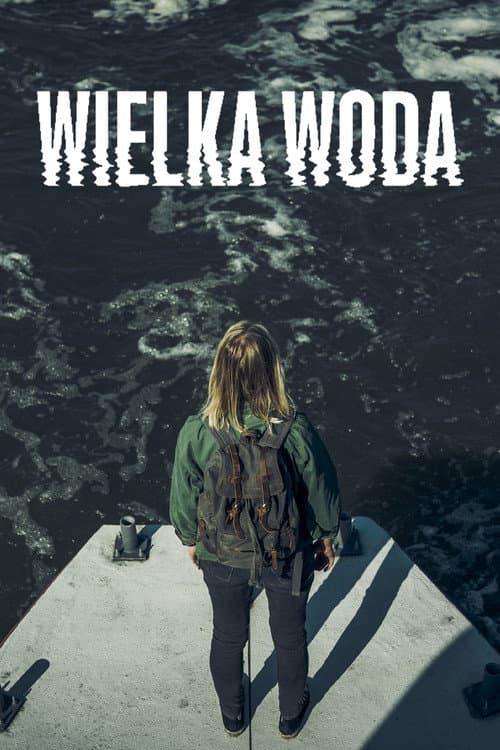High Water posteri
