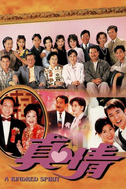 真情 posteri