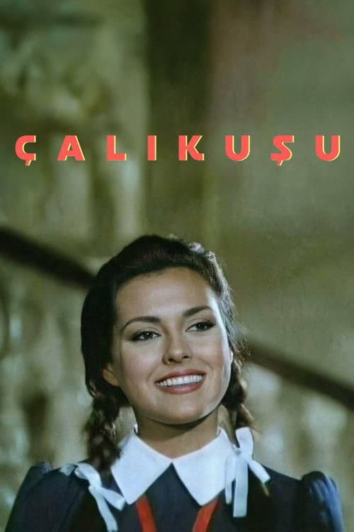 Çalıkuşu posteri