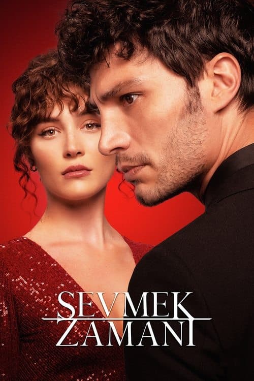 Sevmek Zamanı posteri