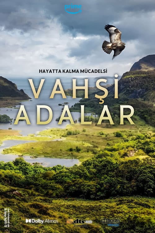 Vahşi adalar posteri