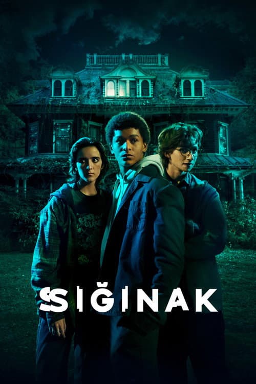 Sığınak posteri