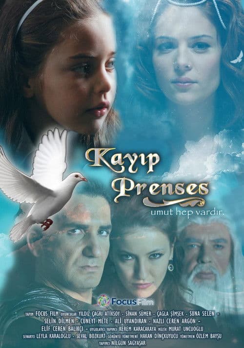 Kayıp Prenses posteri