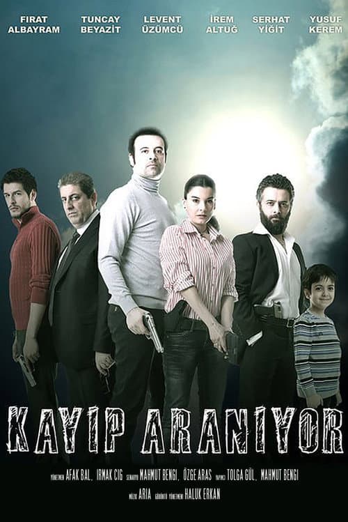 Kayıp Aranıyor posteri
