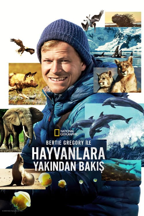 Bertie Gregory ile Hayvanlara Yakından Bakış posteri