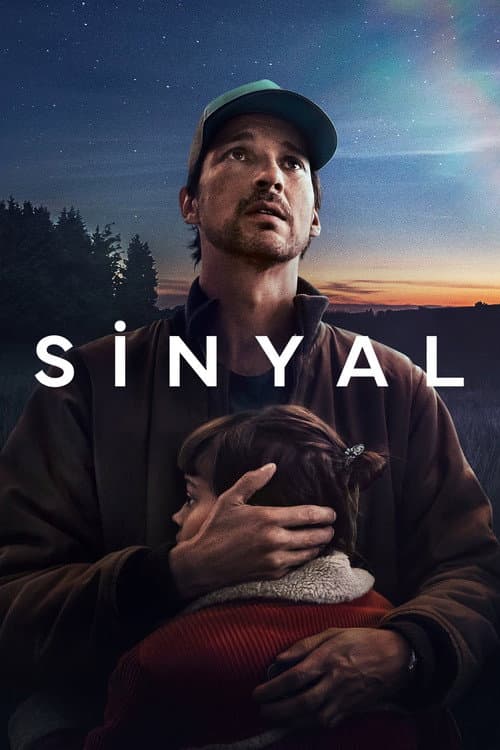 Sinyal posteri