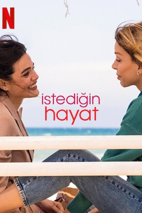 İstediğin Hayat posteri