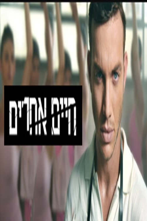חיים אחרים posteri