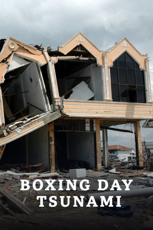 Boxing Day Tsunami posteri