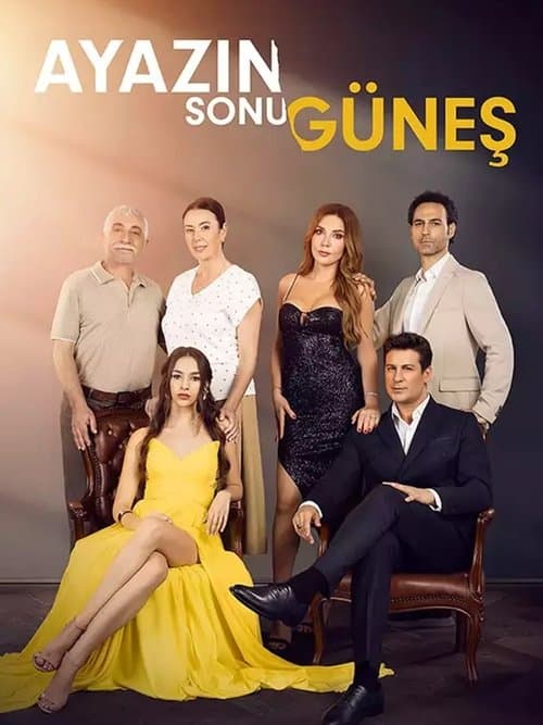 Ayazın Sonu Güneş posteri