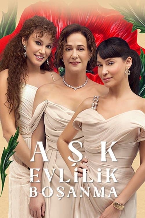 Aşk Evlilik Boşanma posteri