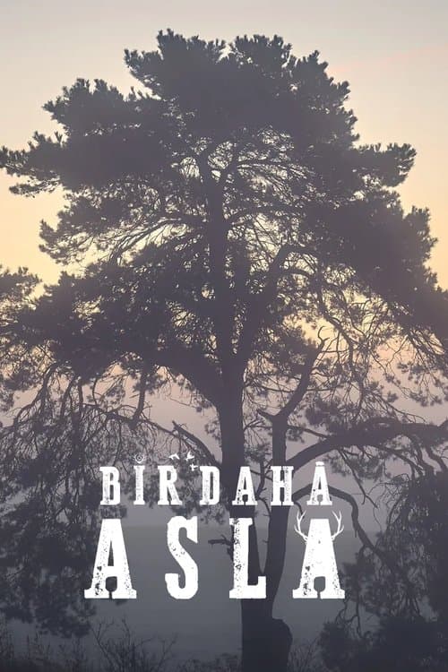 Bir Daha Asla posteri