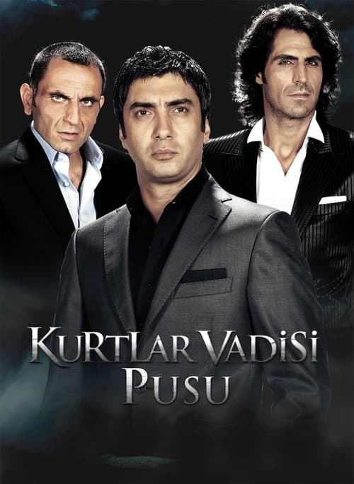Kurtlar Vadisi: Pusu posteri