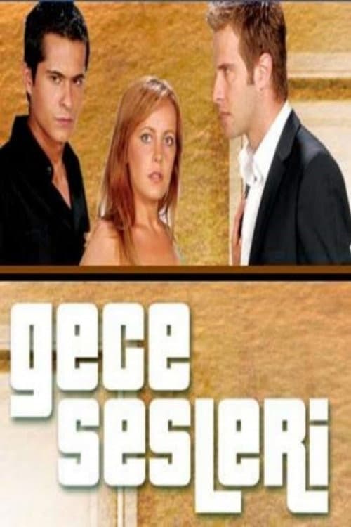Gece Sesleri posteri