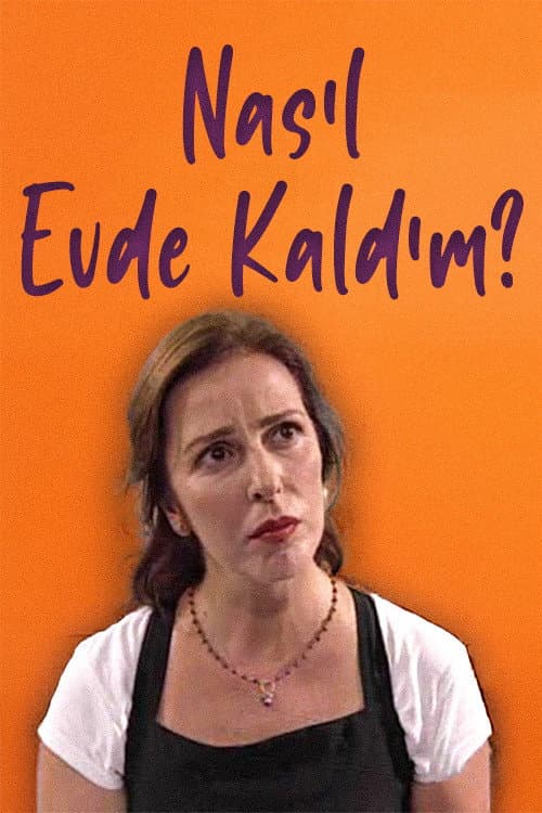 Nasıl Evde Kaldım posteri