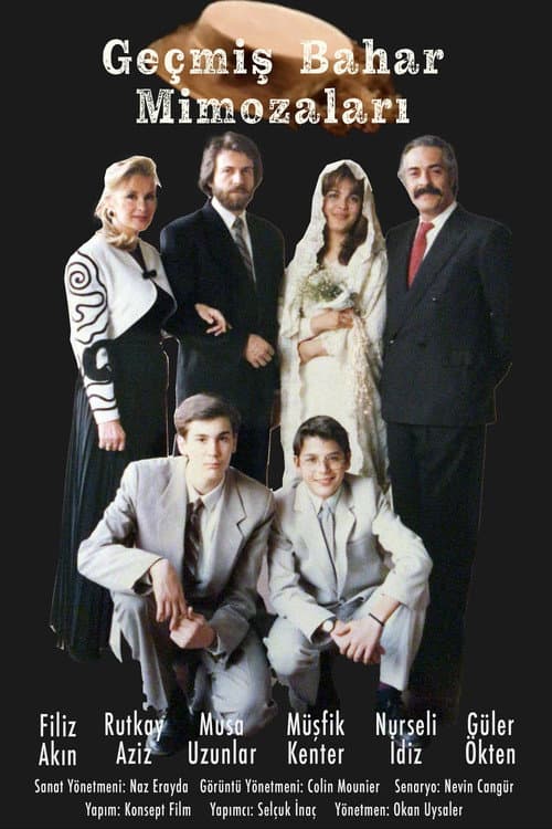 Geçmiş Bahar Mimozaları posteri