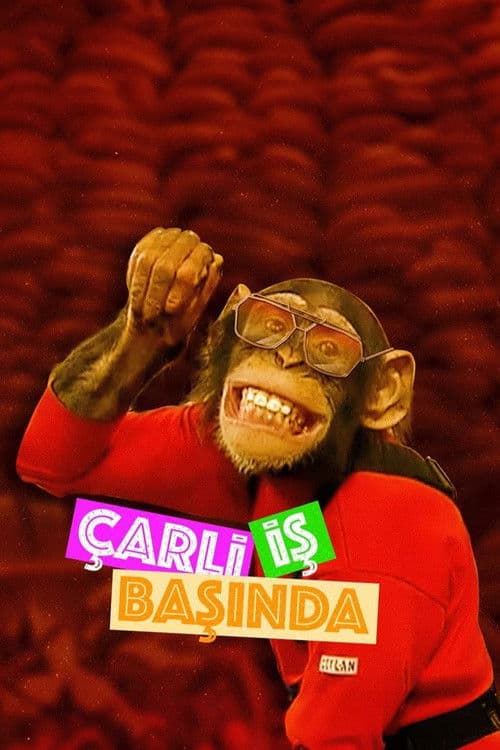 Çarli İş Başında posteri