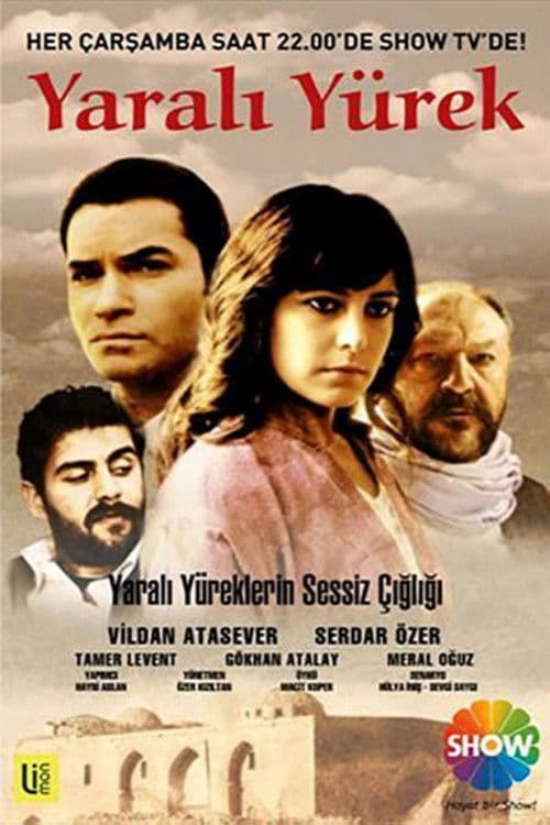 Yaralı Yürek posteri