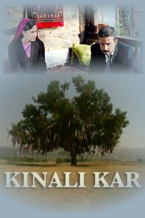 Kınalı Kar posteri