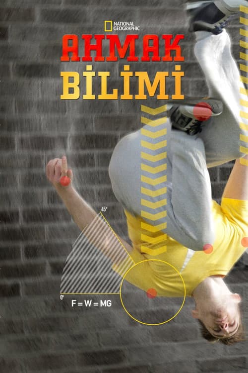 Ahmak Bilimi posteri
