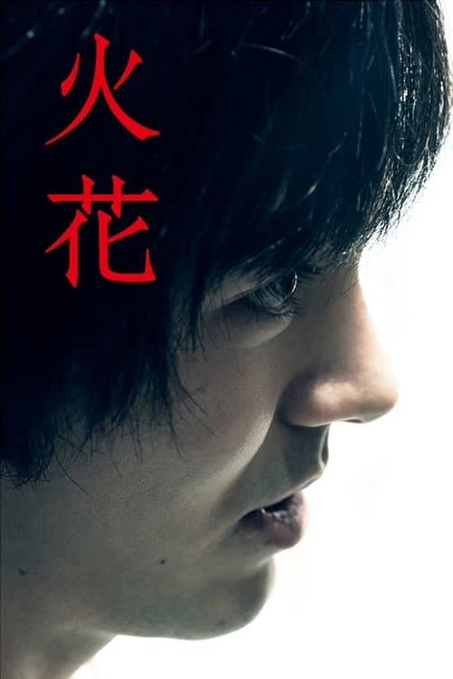 火花 posteri