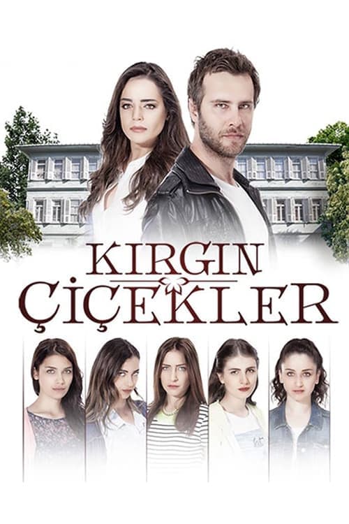 Kırgın Çiçekler posteri