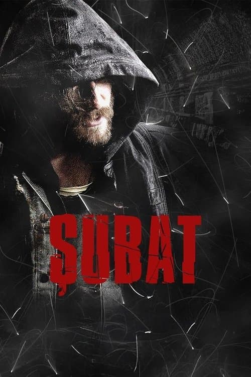 Şubat posteri