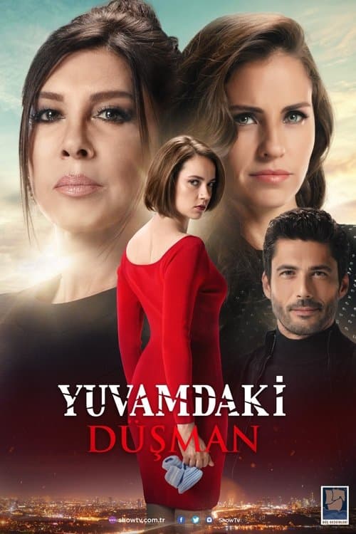 Yuvamdaki Düşman posteri