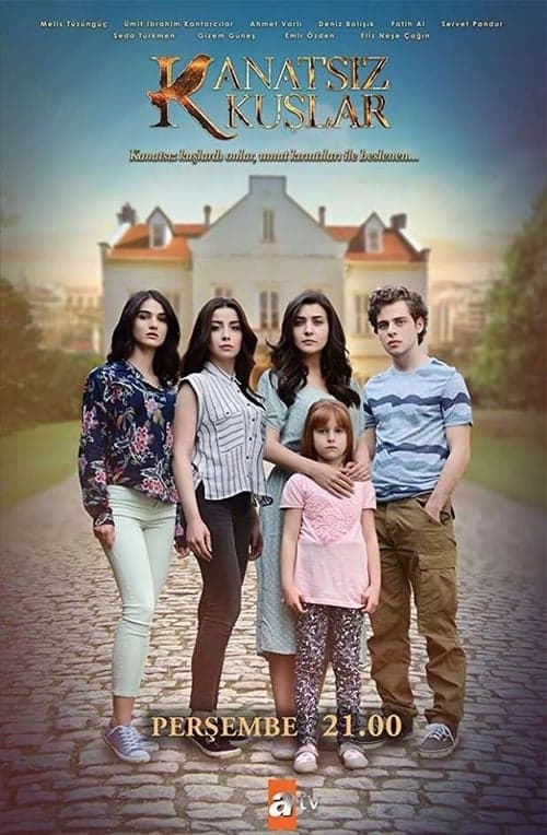 Kanatsız Kuşlar posteri