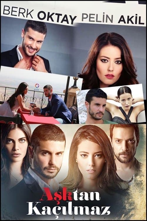 Aşktan Kaçılmaz posteri