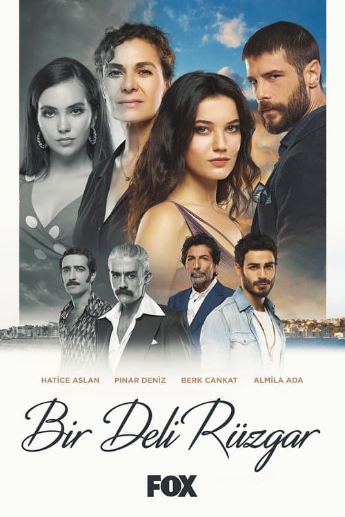 Bir Deli Rüzgar posteri