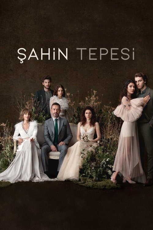 Şahin Tepesi posteri